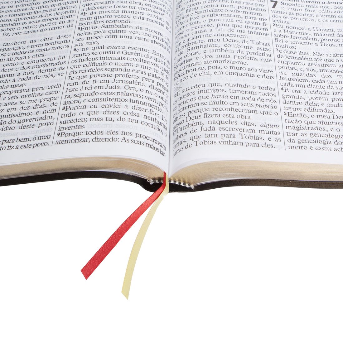 BIBLIA SAGRADA LETRA EXTRA GIGANTE ARC 17X23,5 CM PRETA