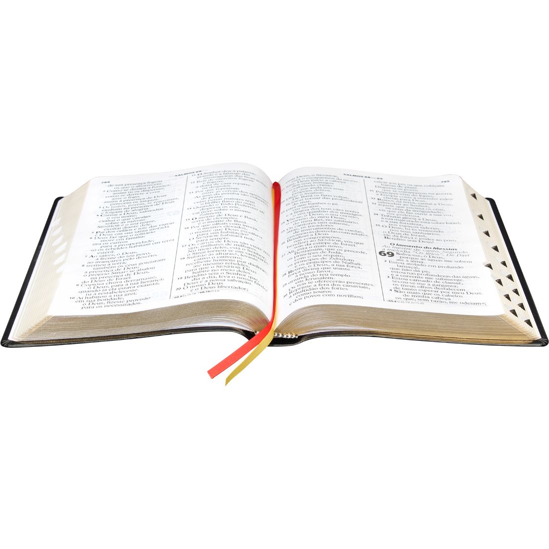 BIBLIA SAGRADA LETRA EXTRA GIGANTE RA 17X23,5 CM PRETA