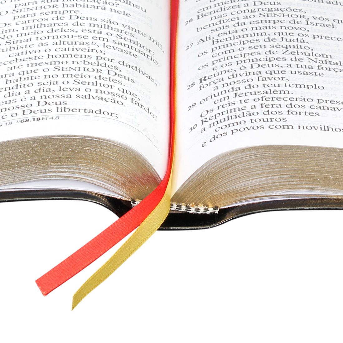 BIBLIA SAGRADA LETRA EXTRA GIGANTE RA 17X23,5 CM PRETA