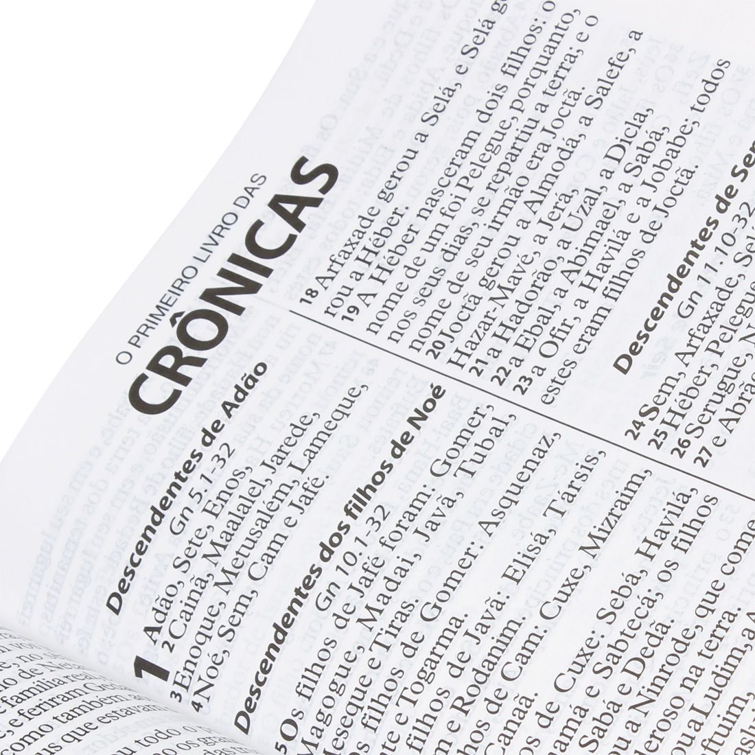 BIBLIA SAGRADA LETRA EXTRA GIGANTE RA 17X23,5 CM PRETA