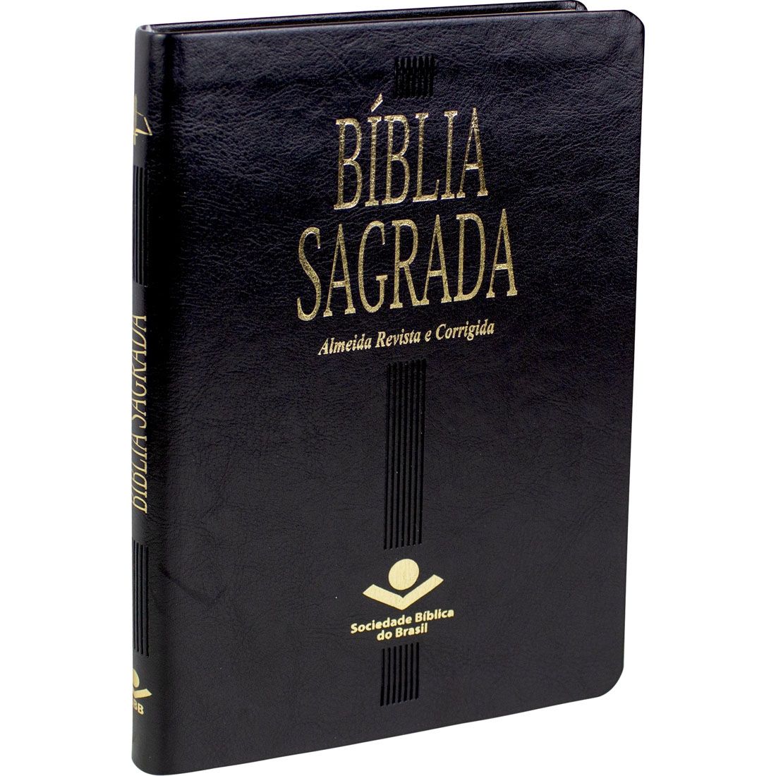 BIBLIA SAGRADA ARC 13,5X20 CM PRETA