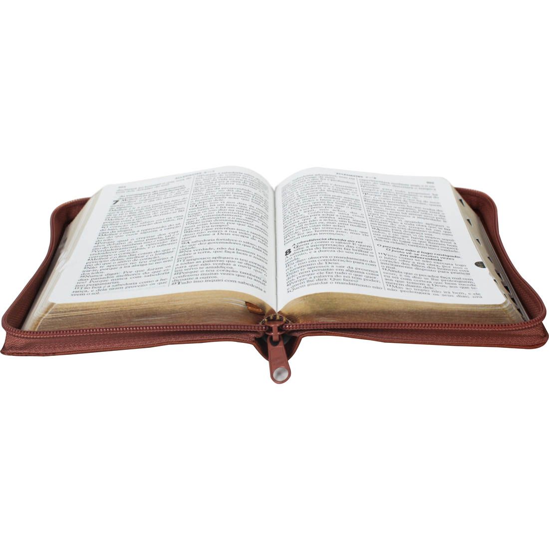 BIBLIA SAGRADA LETRA GRANDE ARC MARROM 11,5X16,5 CM ZIPER E INDICE