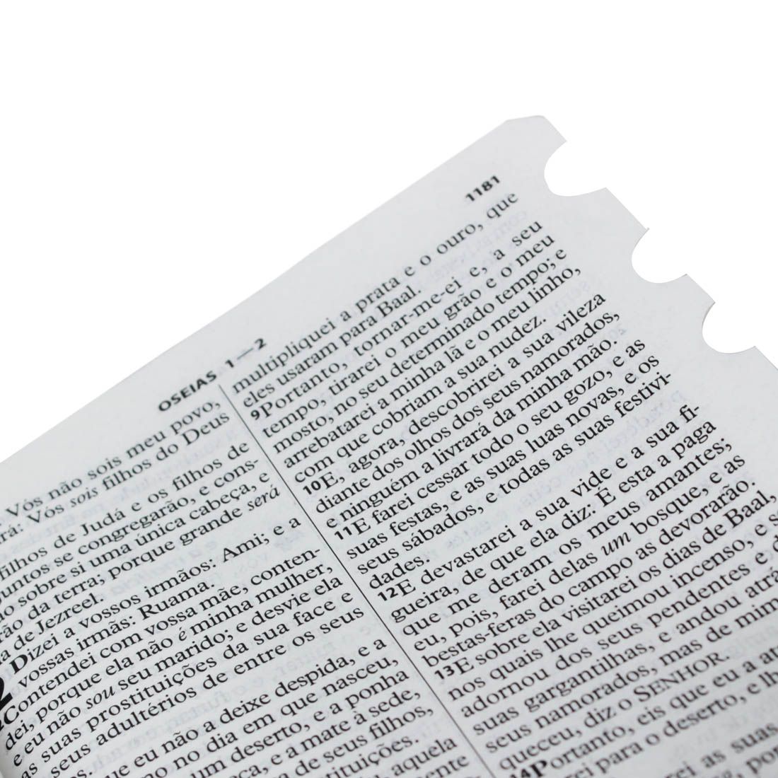 BIBLIA SAGRADA LETRA GRANDE ARC MARROM 11,5X16,5 CM ZIPER E INDICE