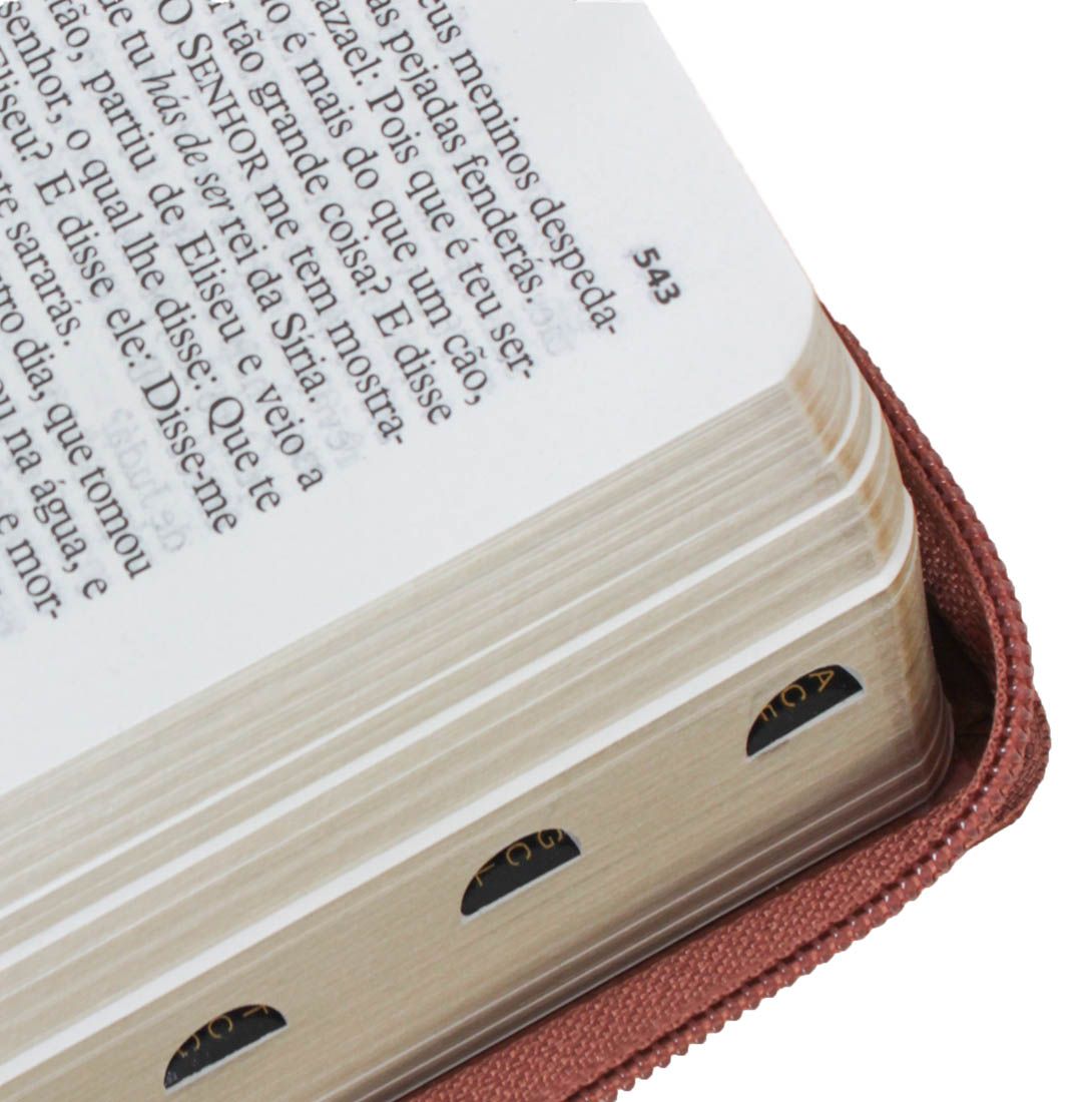 BIBLIA SAGRADA LETRA GRANDE ARC MARROM 11,5X16,5 CM ZIPER E INDICE