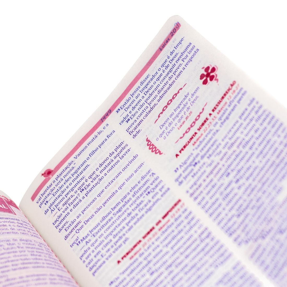BIBLIA SAGRADA ENTRE MENINAS DE DEUS NTLH 13,,5 X20 CM BRANCA