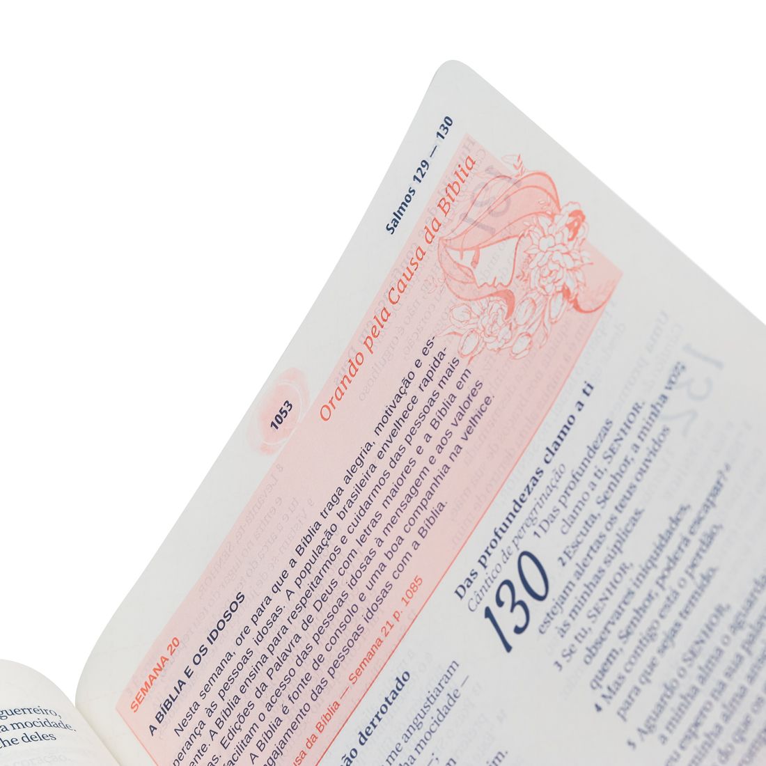 BIBLIA DA MULHER LETRA GRANDE BRANCA ARC 17/X25 CM