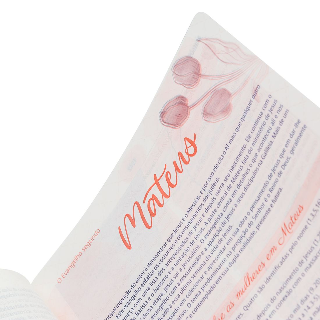 BIBLIA DA MULHER LETRA GRANDE BRANCA ARC 17/X25 CM