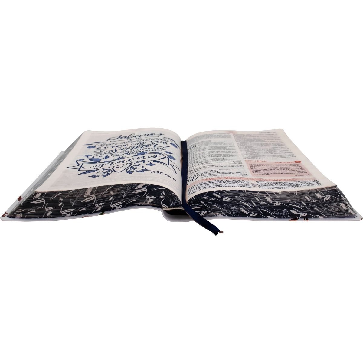 Women's Bible - New ARC Edition