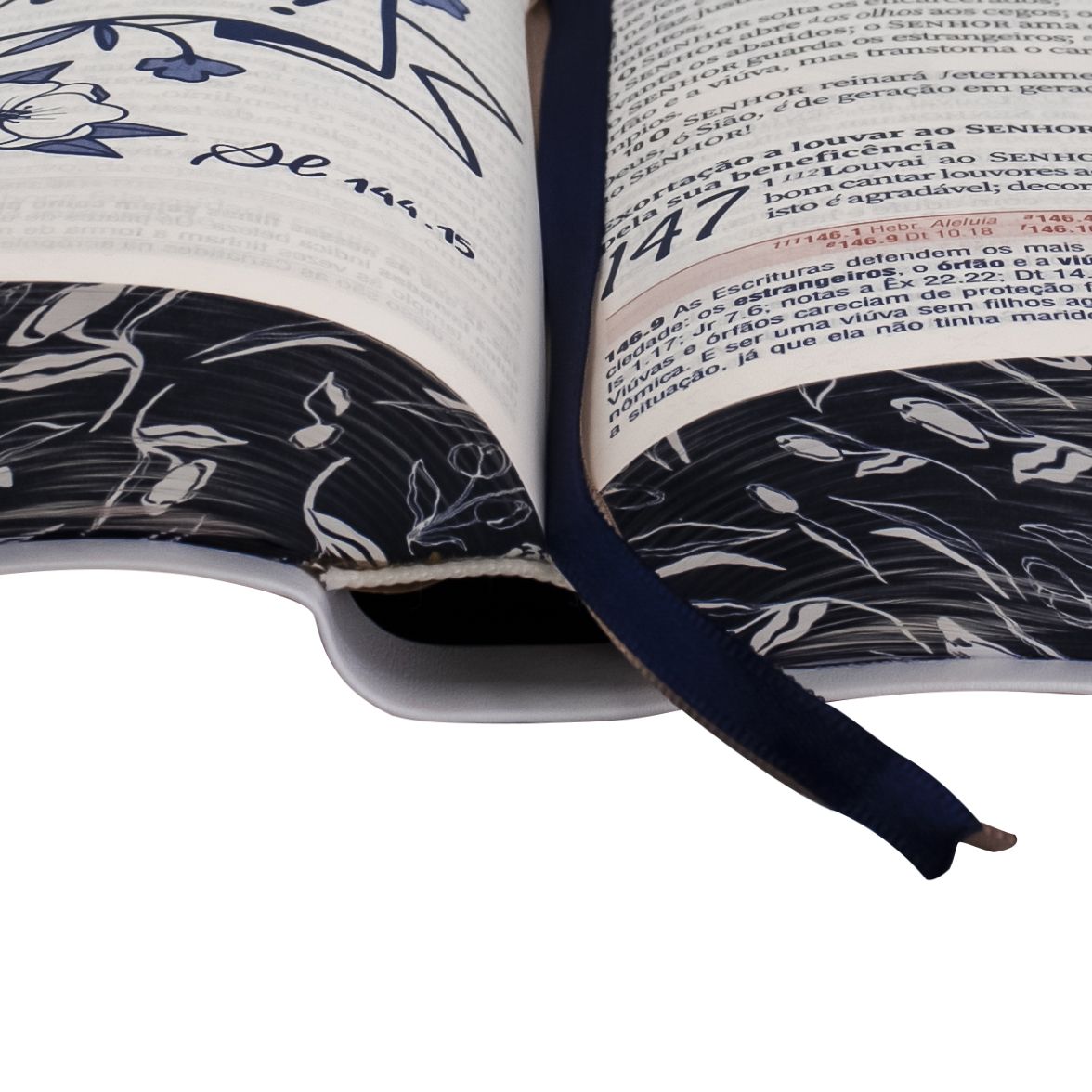 Women's Bible - New ARC Edition