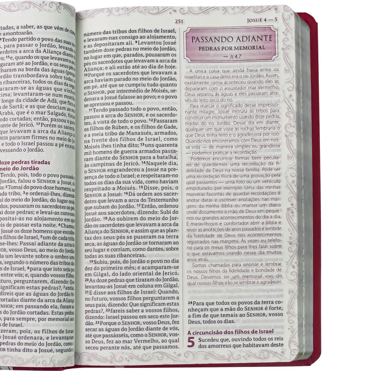A BIBLIA DA MAMAE RA VERMELHA