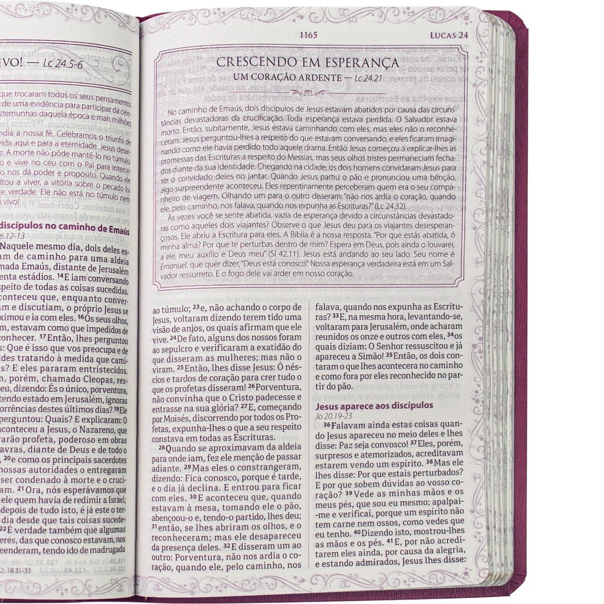 A BIBLIA DA MAMAE RA VERMELHA