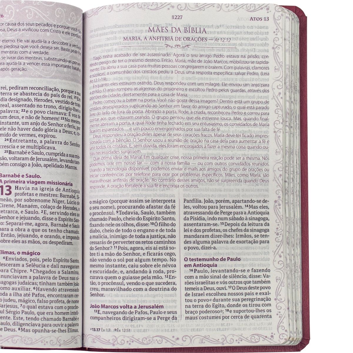 A BIBLIA DA MAMAE RA VERMELHA