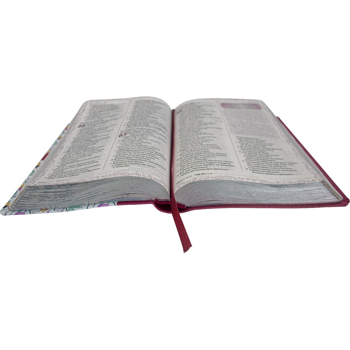 A BIBLIA DA MAMAE RA VERMELHA