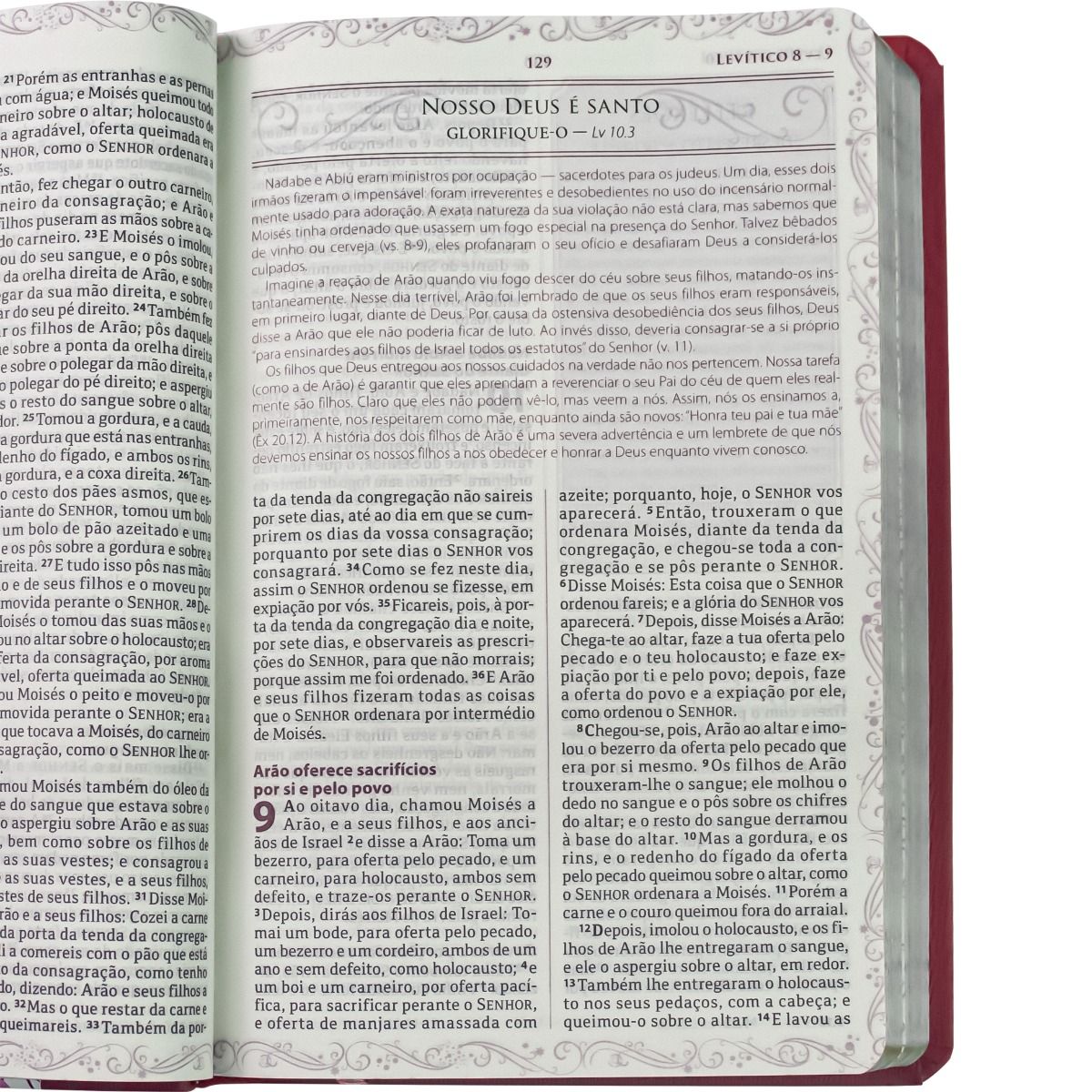 A BIBLIA DA MAMAE RA VERMELHA