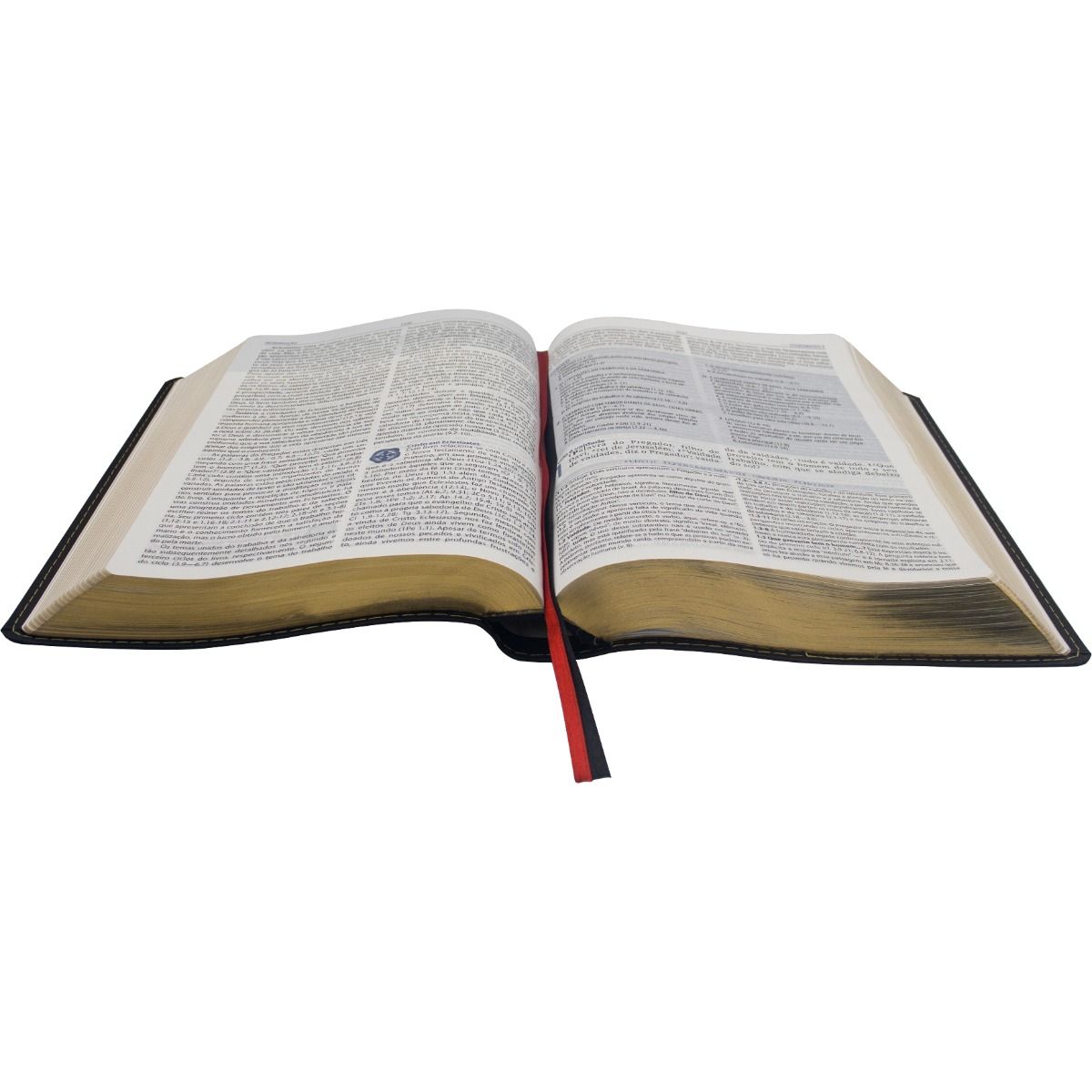 Geneva Study Bible - Large Print