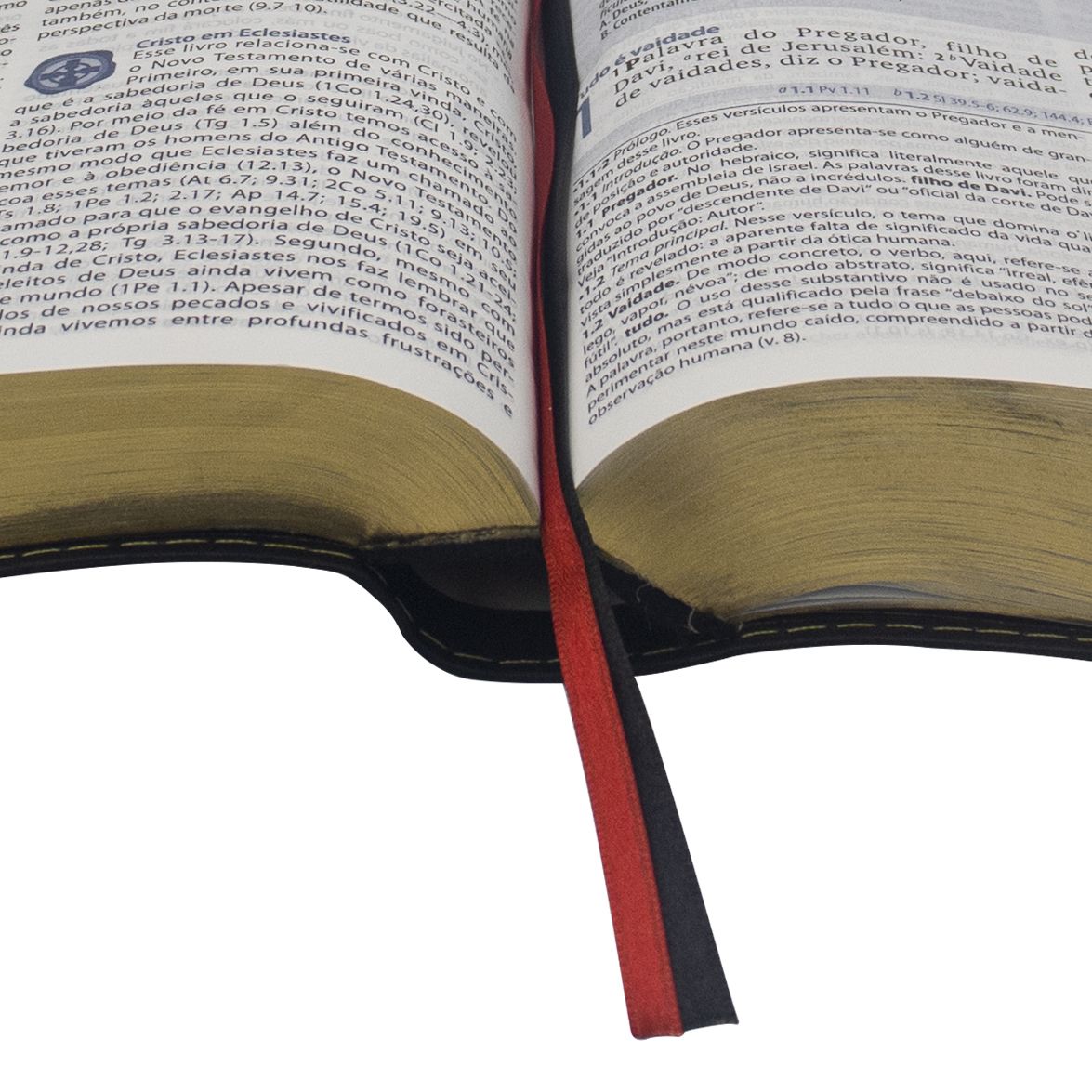 Geneva Study Bible - Large Print