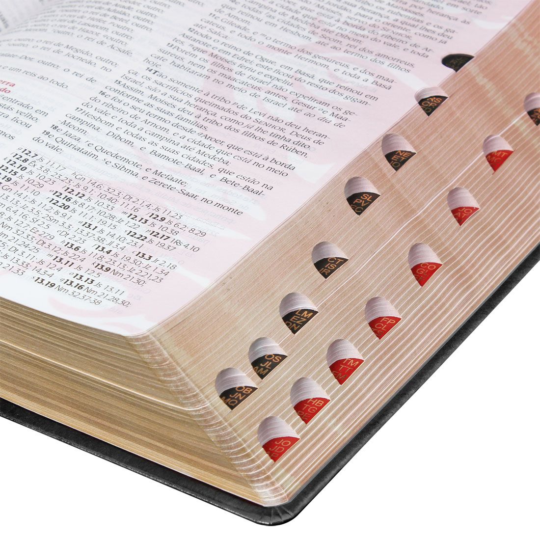 BIBLIA DO PREGADOR PENTECOSTAL PRETA 16,2X23,4 CM
