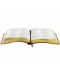 BIBLIA BILINGUE MARROM 13,5X20 CM NAA