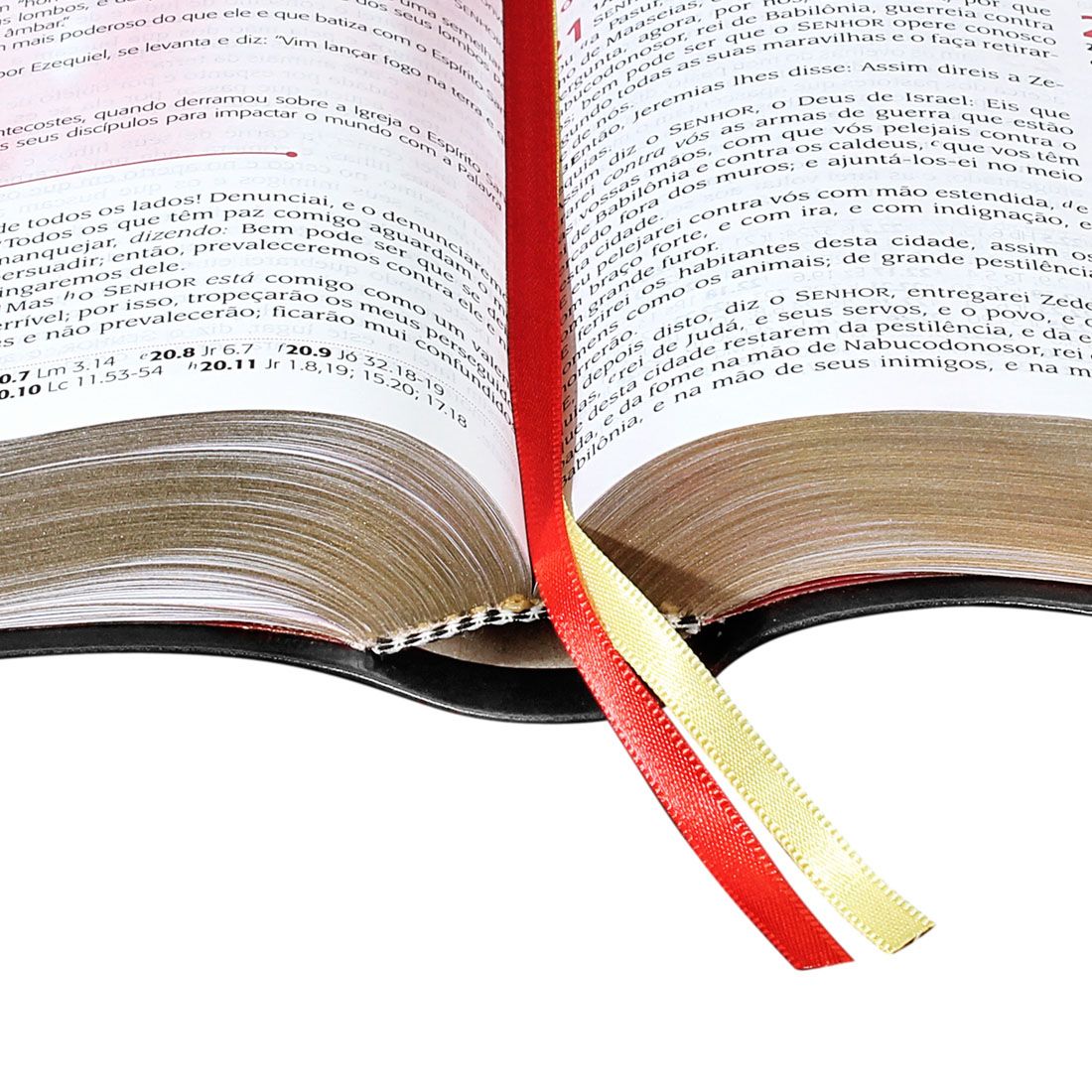 BIBLIA DO PREGADOR PENTECOSTAL PRETA  16,2X23,4 CM
